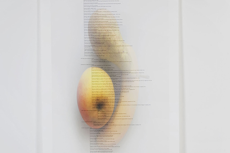 Anne de Vries Exhibition