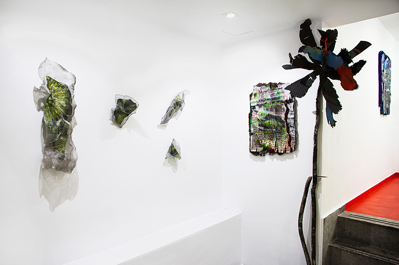 kate steciw live laugh love installation