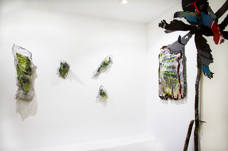kate steciw live laugh love installation